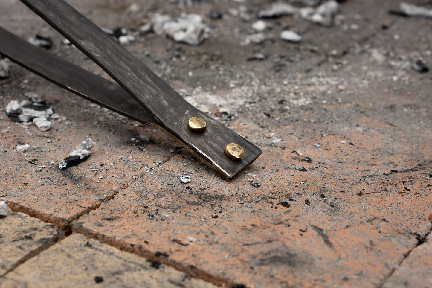 Sonora Tongs